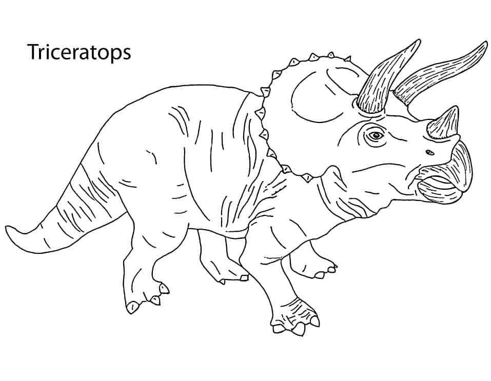Coloriage Image de Tricératops