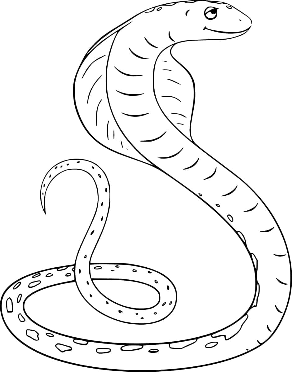 Coloriage Joli Cobra