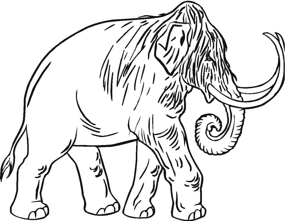 Mammouth 3 coloring page