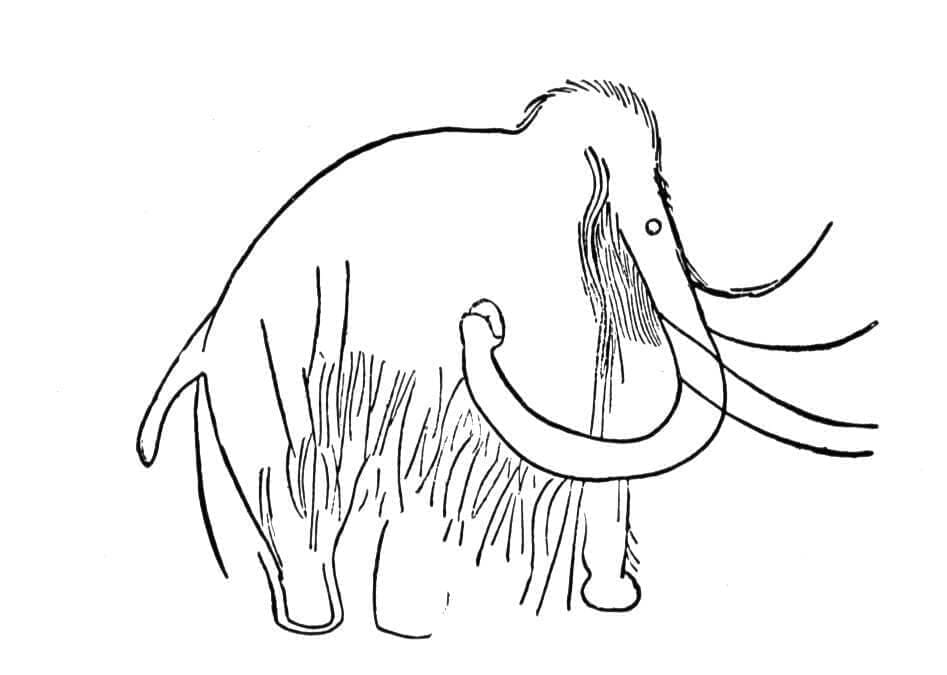 Mammouth 4 coloring page