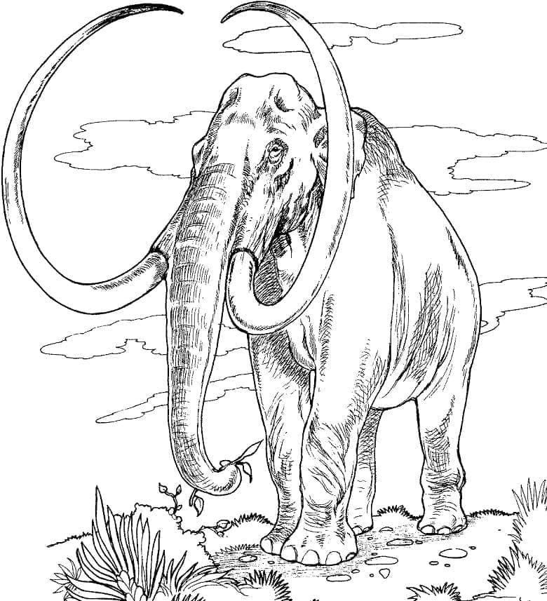 Mammouth Normal coloring page
