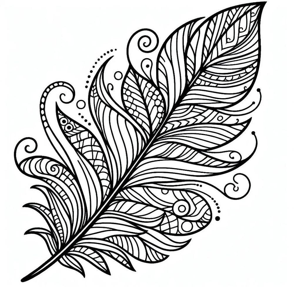 Merveilleuse Plume coloring page
