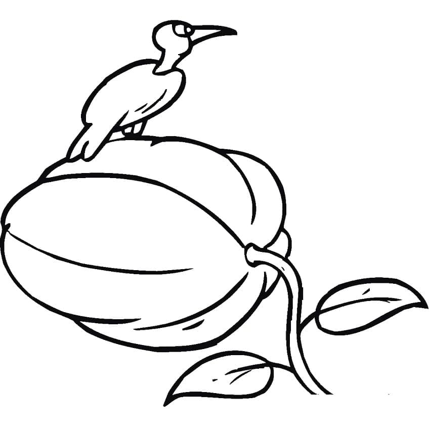 Oiseau sur une Citrouille coloring page