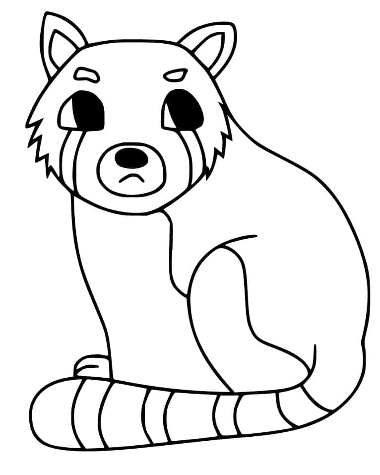 Coloriage Panda Roux Imprimable