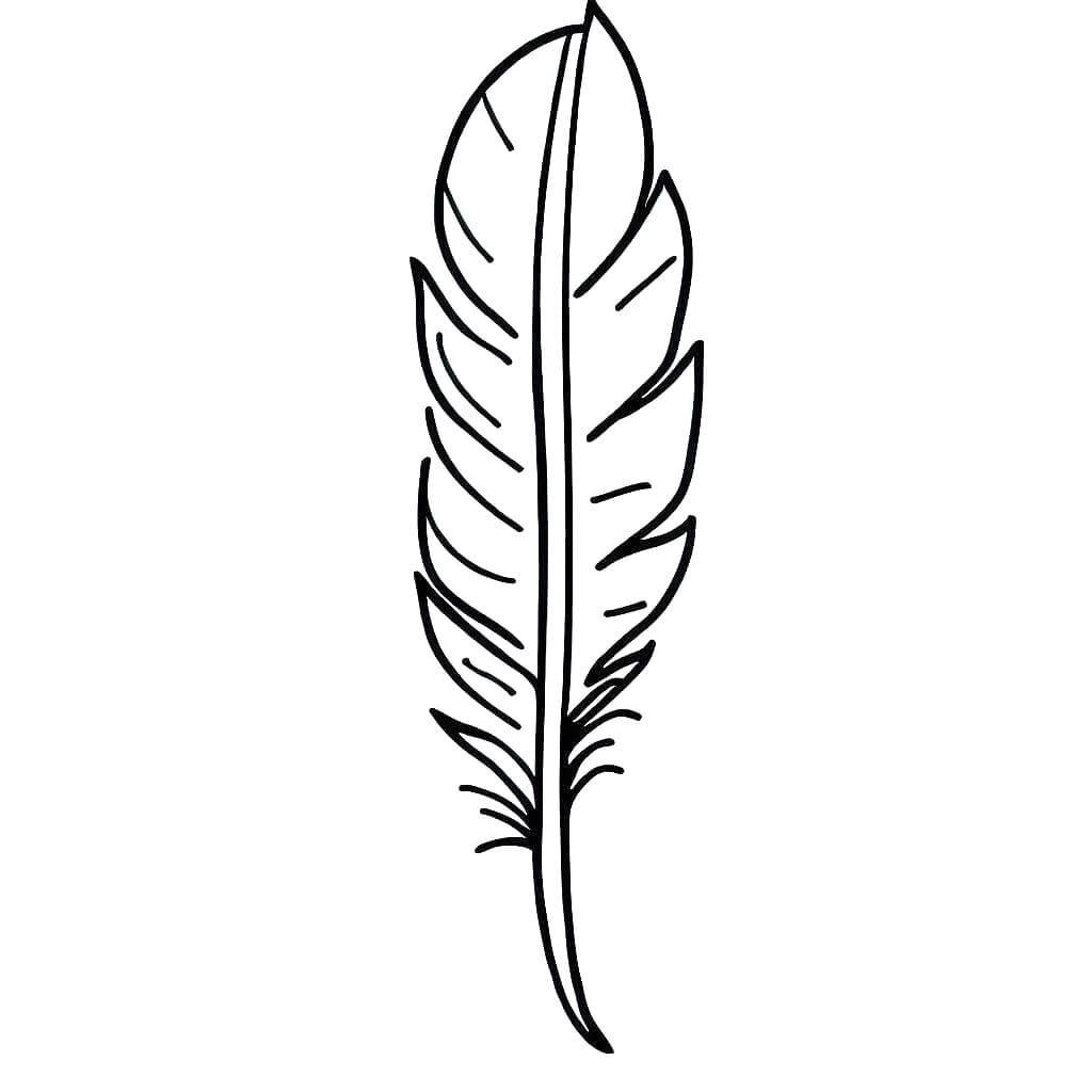 Plume Imprimable coloring page