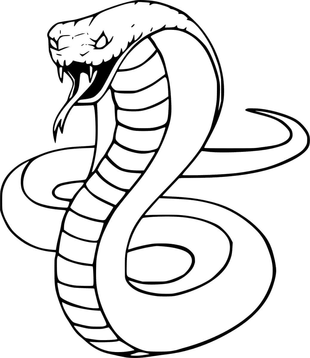 Coloriage Serpent Cobra Royal