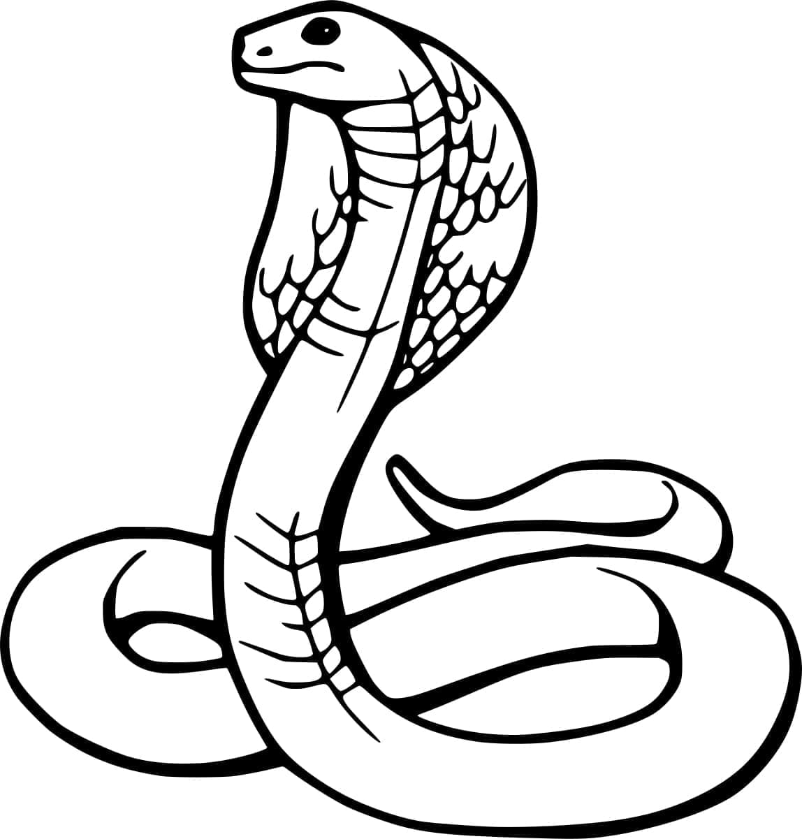 Coloriage Serpent Cobra