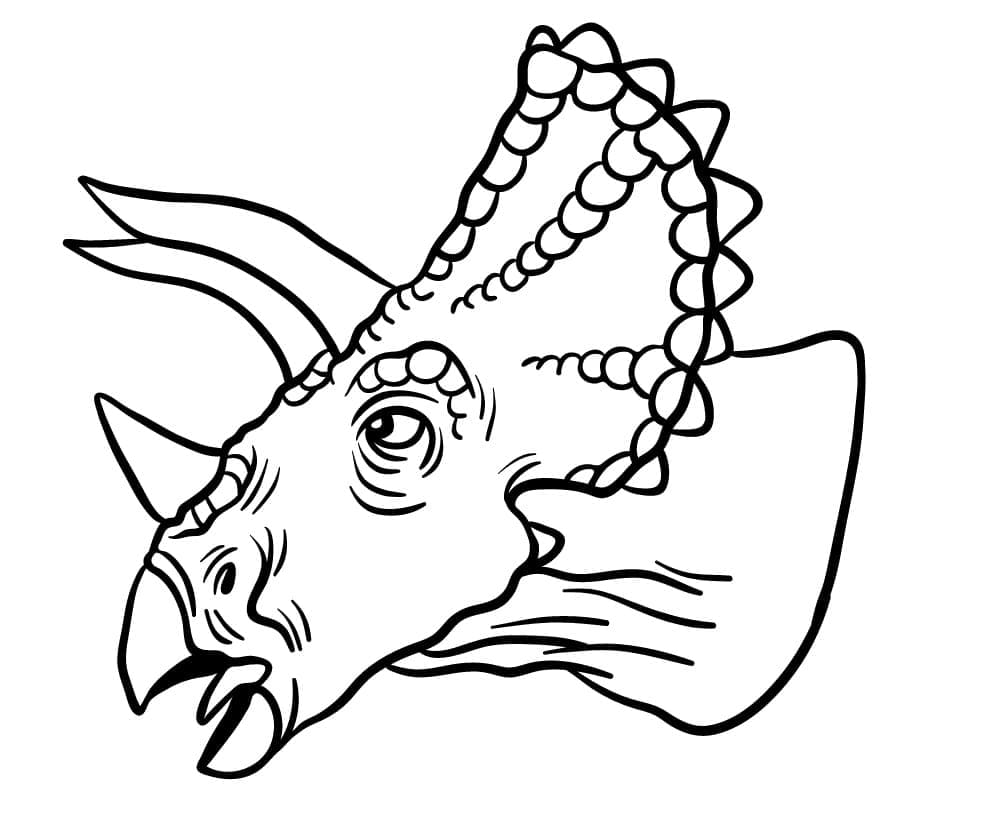 Coloriage Tête de Tricératops