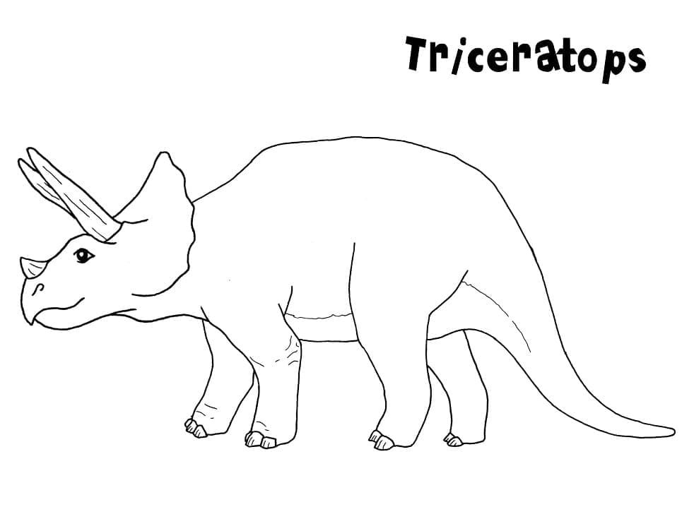 Coloriage Tricératops Simples