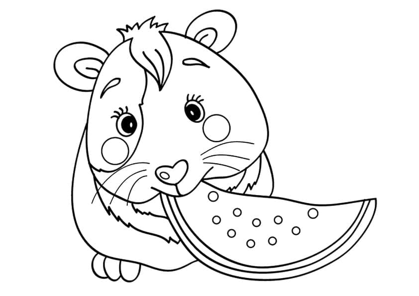 Un Cochon d’Inde Mange de la Pastèque coloring page