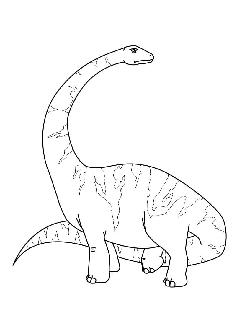 Un Diplodocus coloring page