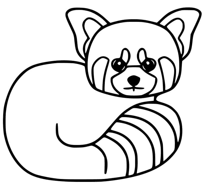Un Panda roux Facile coloring page