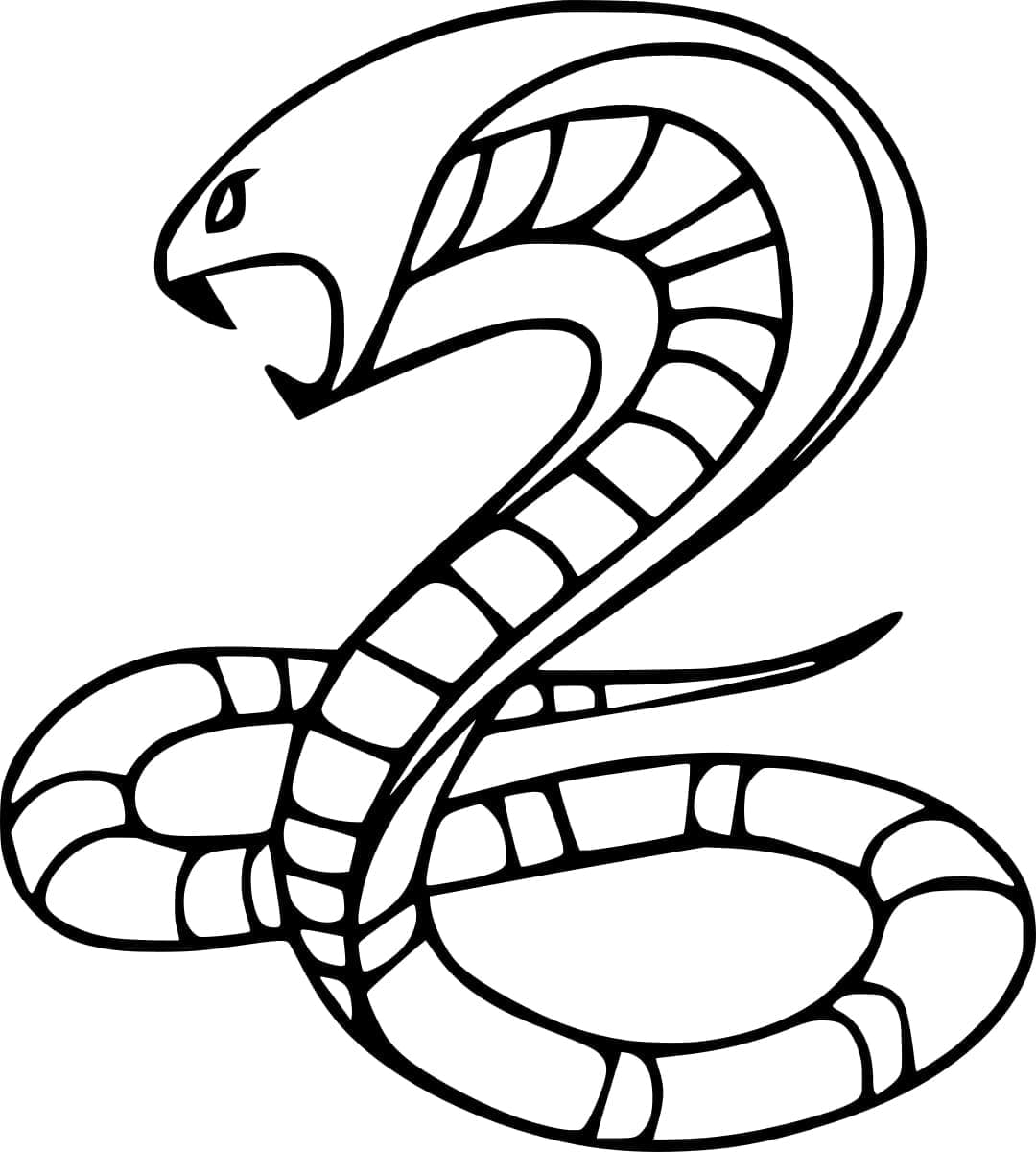 Coloriage Un Serpent Cobra