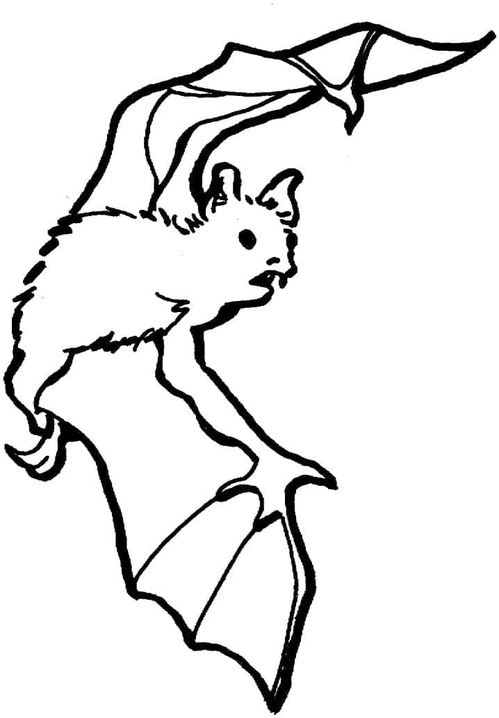 Une Chauve-souris Volante coloring page