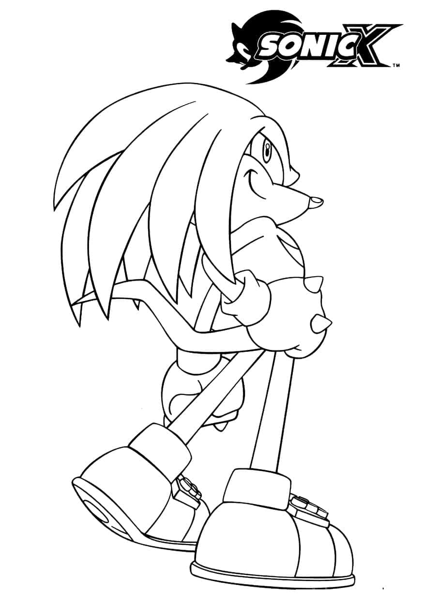 Knuckles de Sonic X coloring page