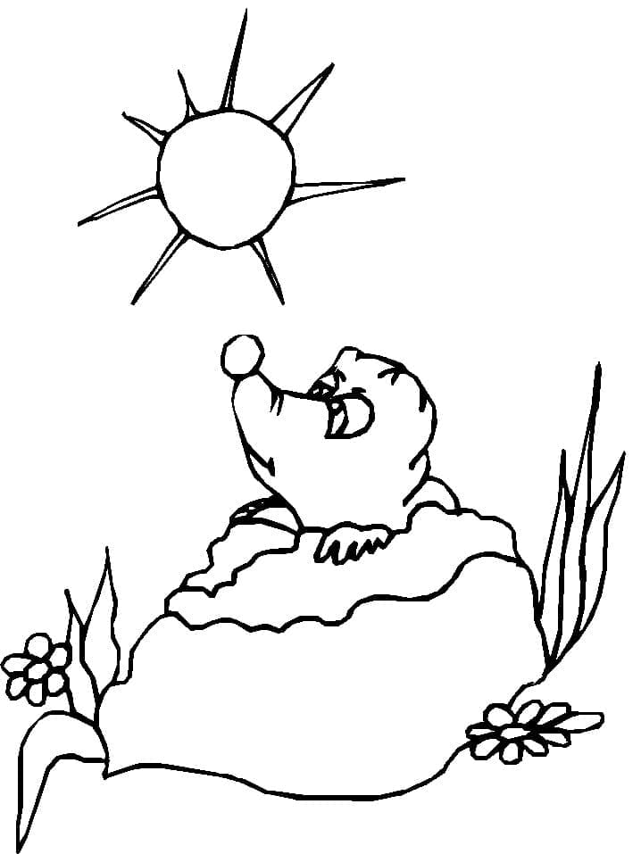 La Marmotte et le Soleil coloring page