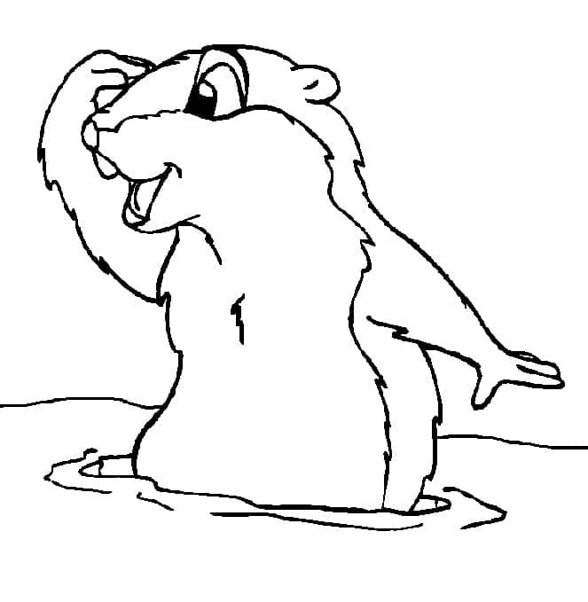 Une Marmotte Mignonne coloring page