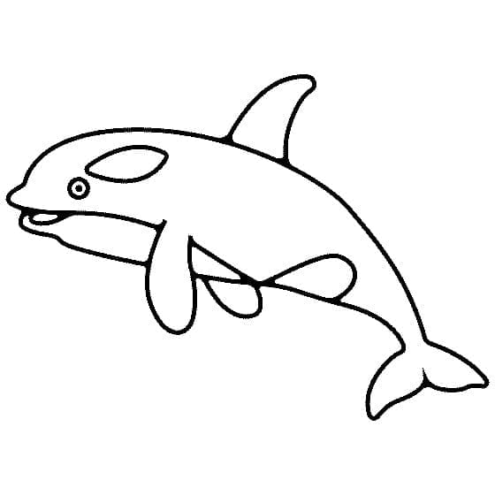 Orque Imprimable coloring page