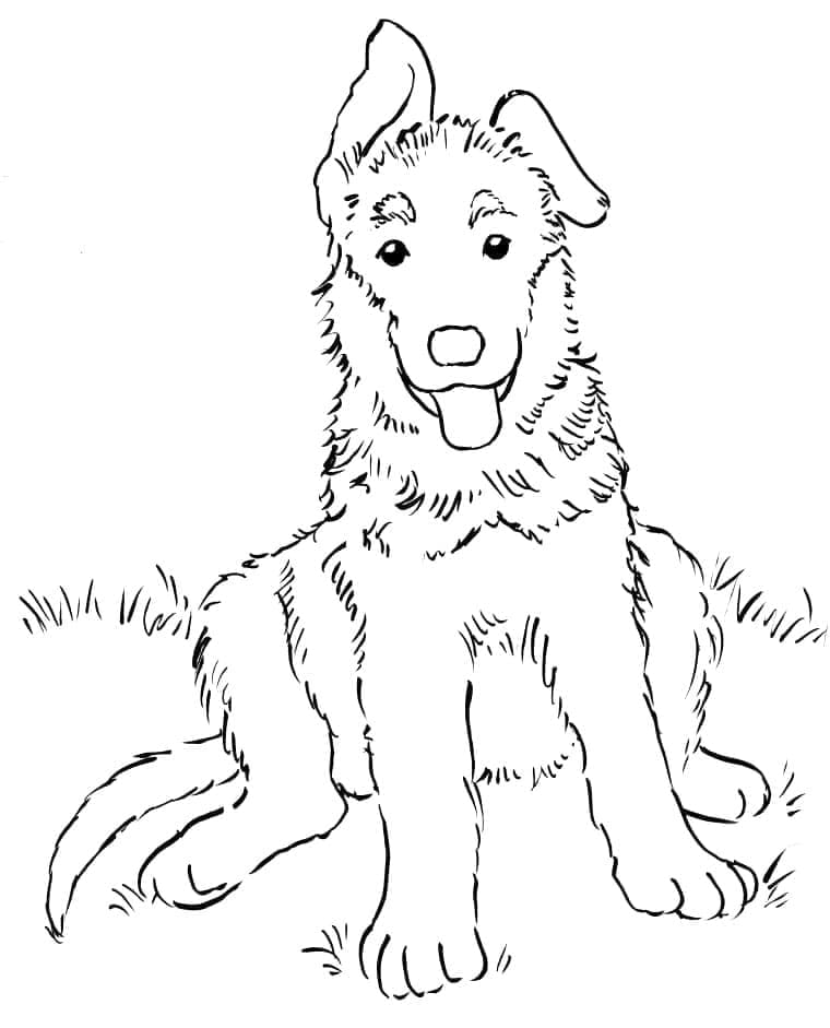 Coloriage Adorable Berger Allemand