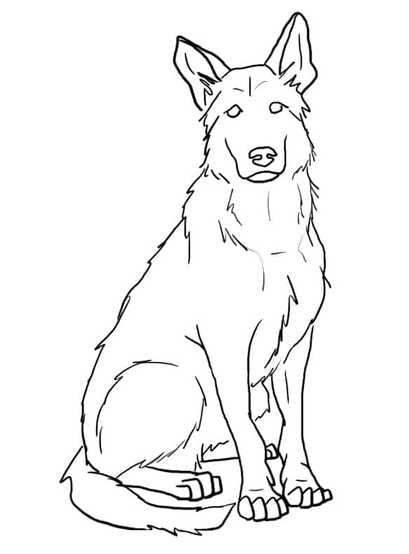 Berger Allemand Assis coloring page