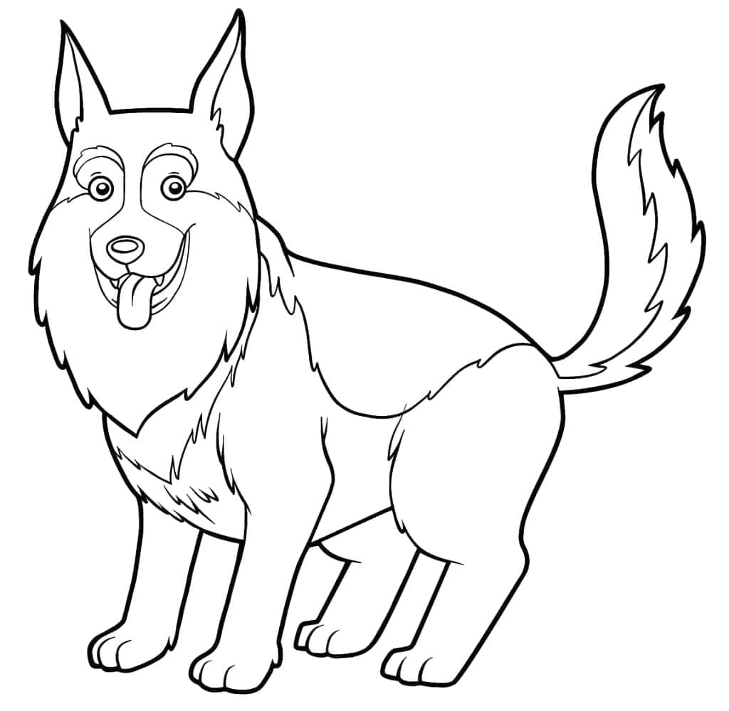 Berger Allemand Heureux coloring page