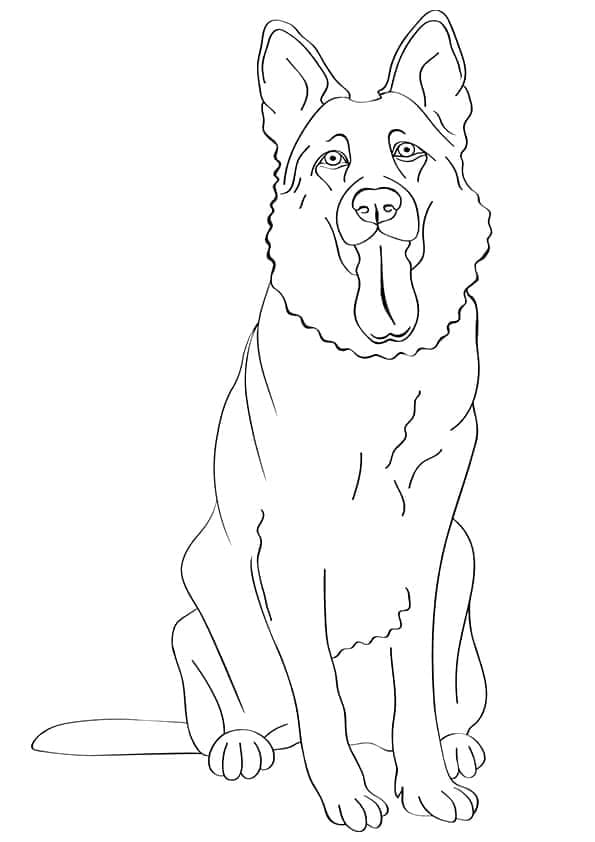 Berger Allemand Normal coloring page