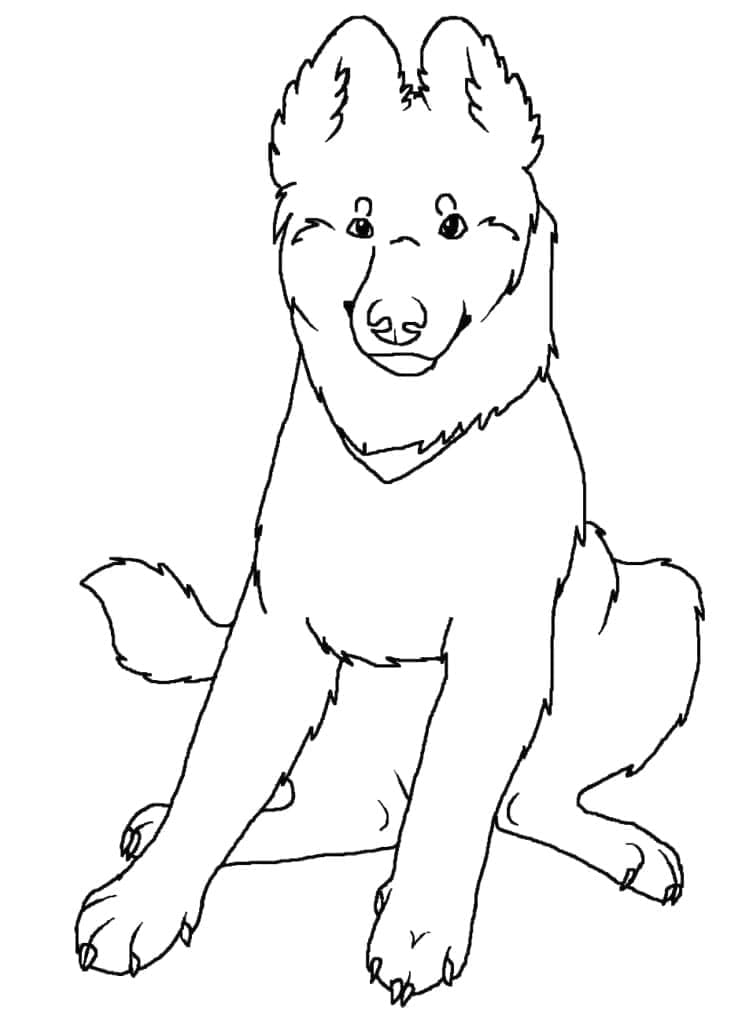 Berger Allemand Simple coloring page