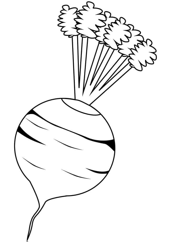 Betterave 3 coloring page