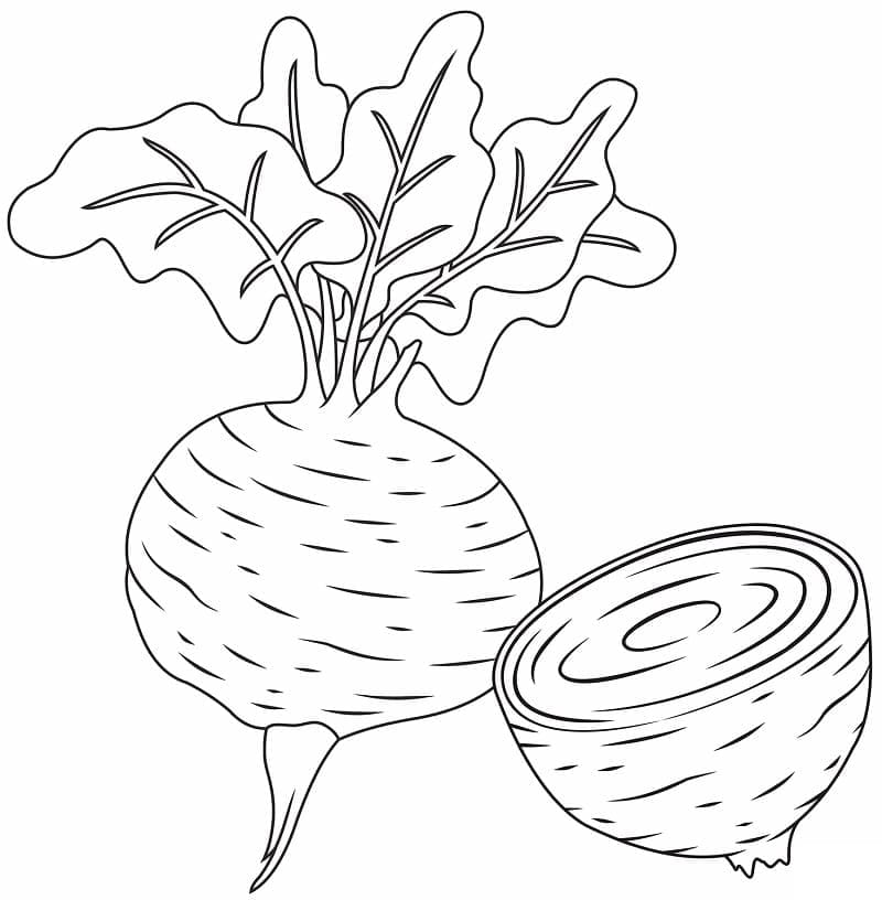 Betterave 8 coloring page