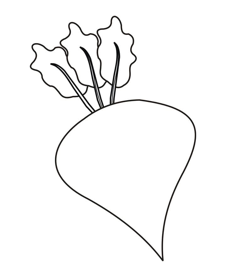 Betterave Facile coloring page