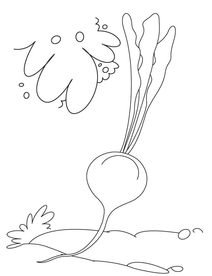 Betterave Simple coloring page