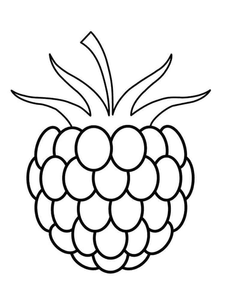 Framboise Facile coloring page