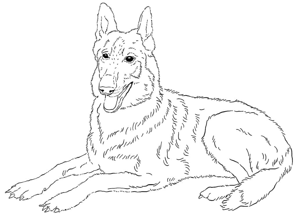Un Berger Allemand Normal coloring page