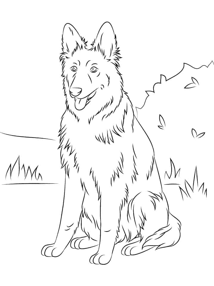 Un Berger Allemand coloring page