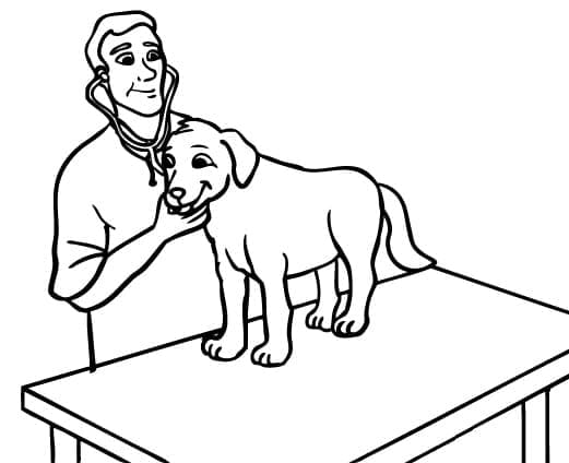 Un Vétérinaire coloring page