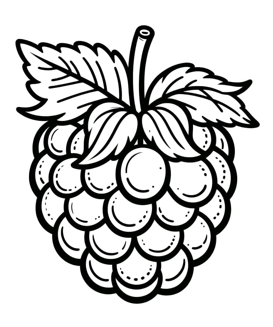 Une Framboise coloring page