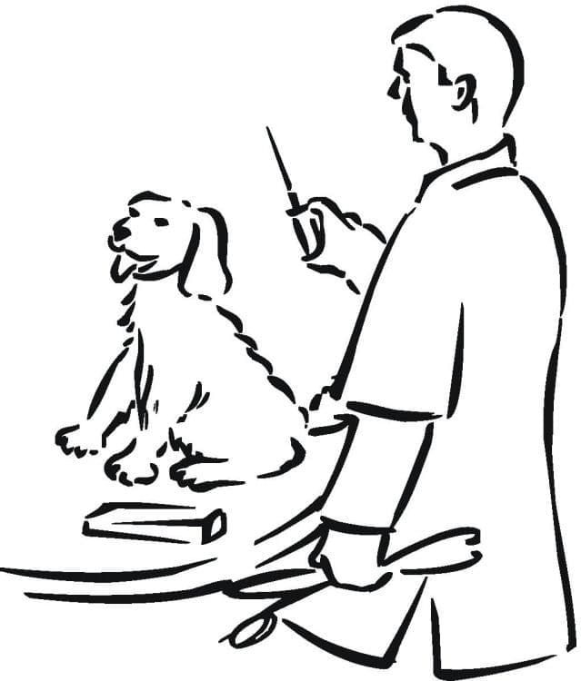 Vétérinaire avec un Chien coloring page