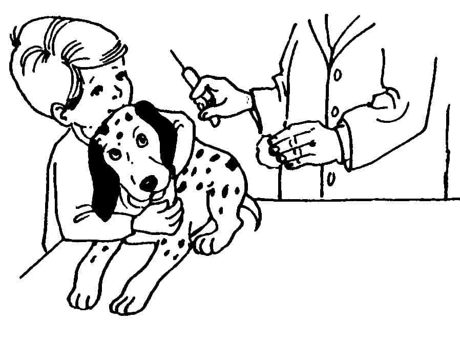 Vétérinaire et Dalmatien coloring page