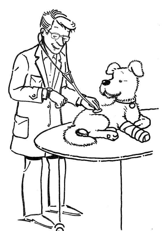 Vétérinaire et un Chien coloring page