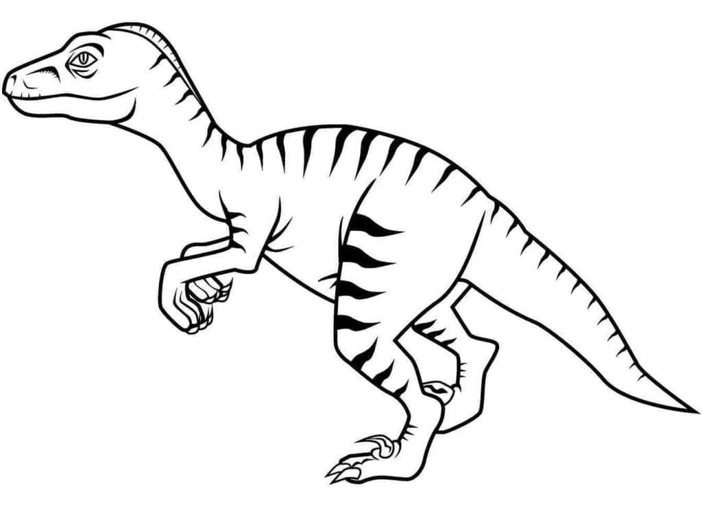 Coloriage Image de Vélociraptor
