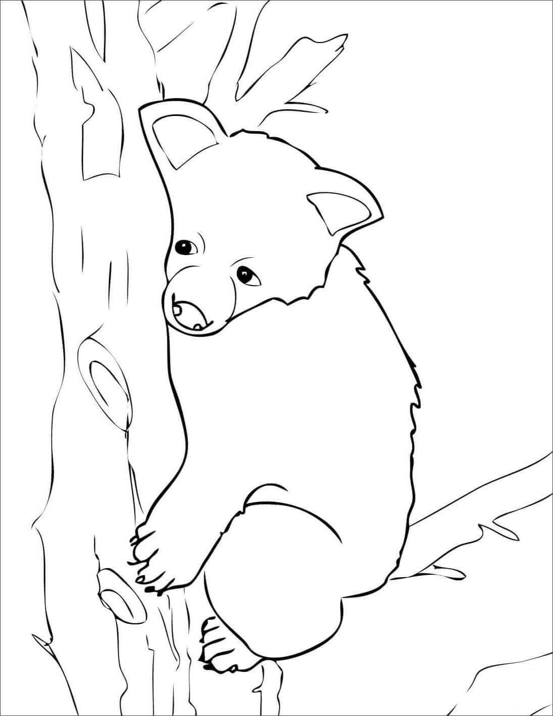 Ourson dans l’arbre coloring page