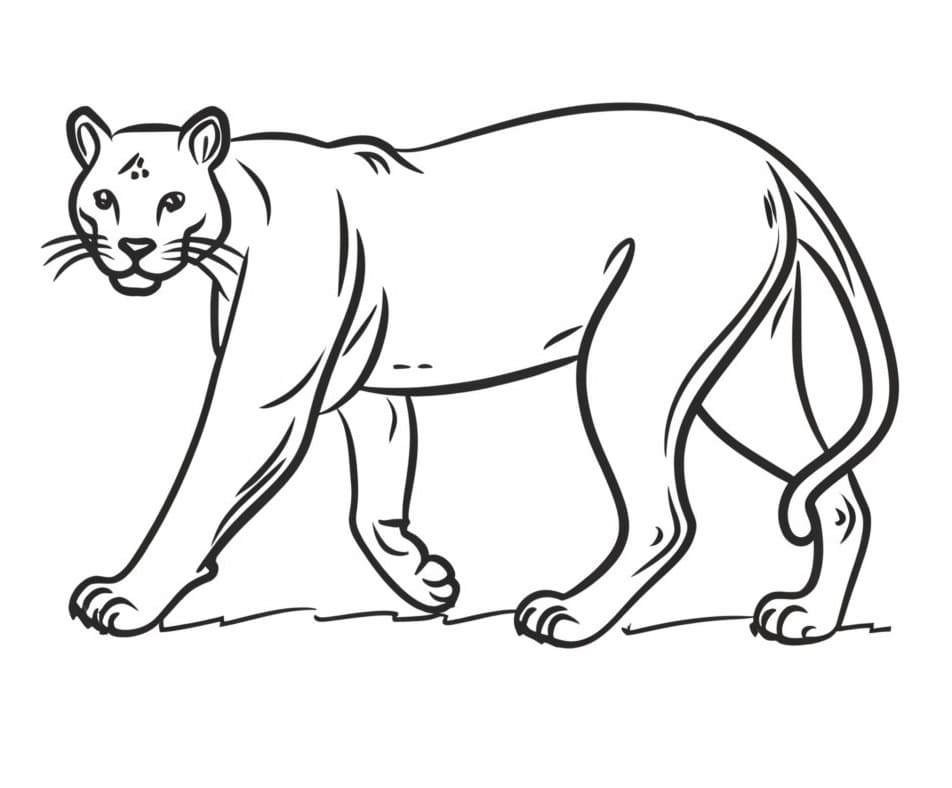 Panthère Normale coloring page