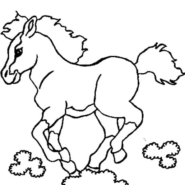 Poulain Normal coloring page