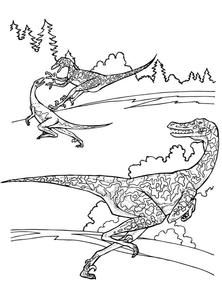 Vélociraptor Imprimable coloring page