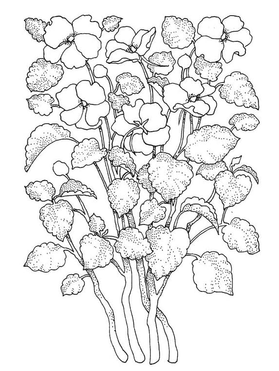 Fleur Adulte 2 coloring page