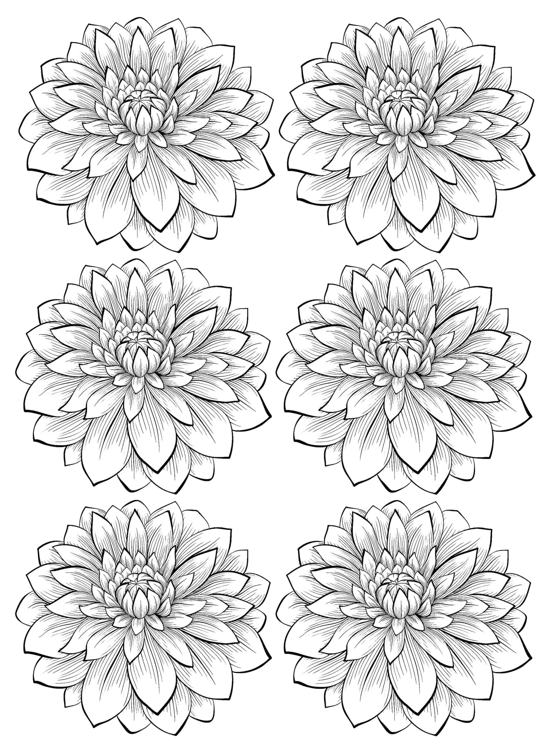 Coloriage Image de Fleurs Adultes