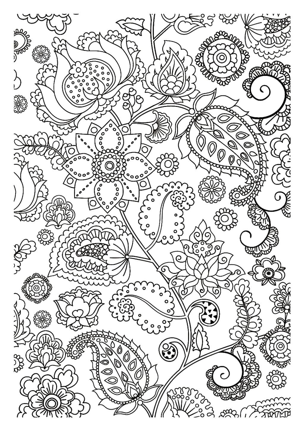 Coloriage Magnifiques Fleurs Adultes