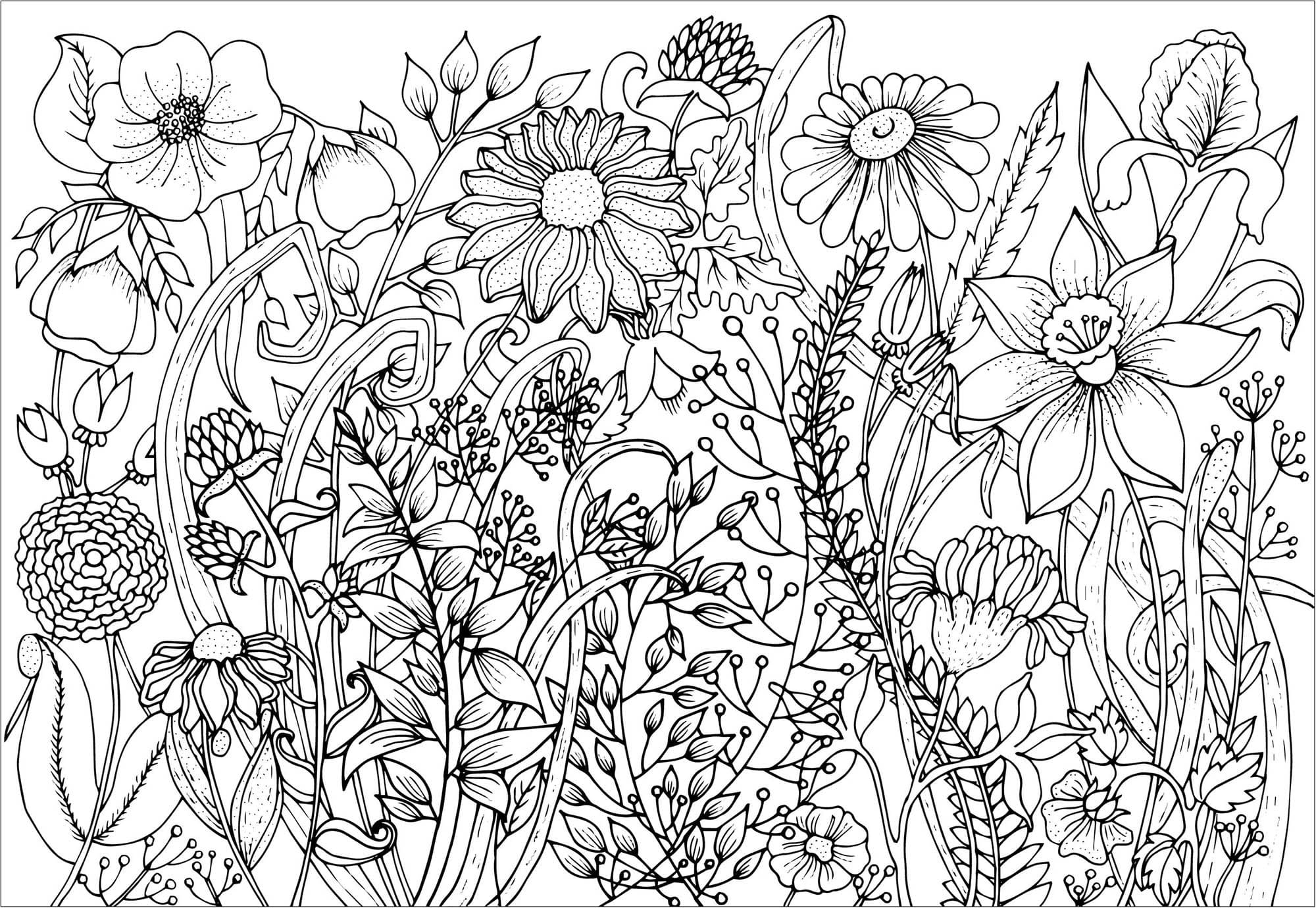 Peinture de Fleurs Adultes coloring page