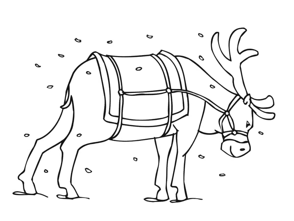 Renne de Noël Normal coloring page