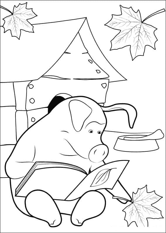 Rosie le cochon de Masha Et Michka coloring page